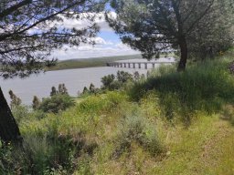 Flora del Cerro Masatrigo